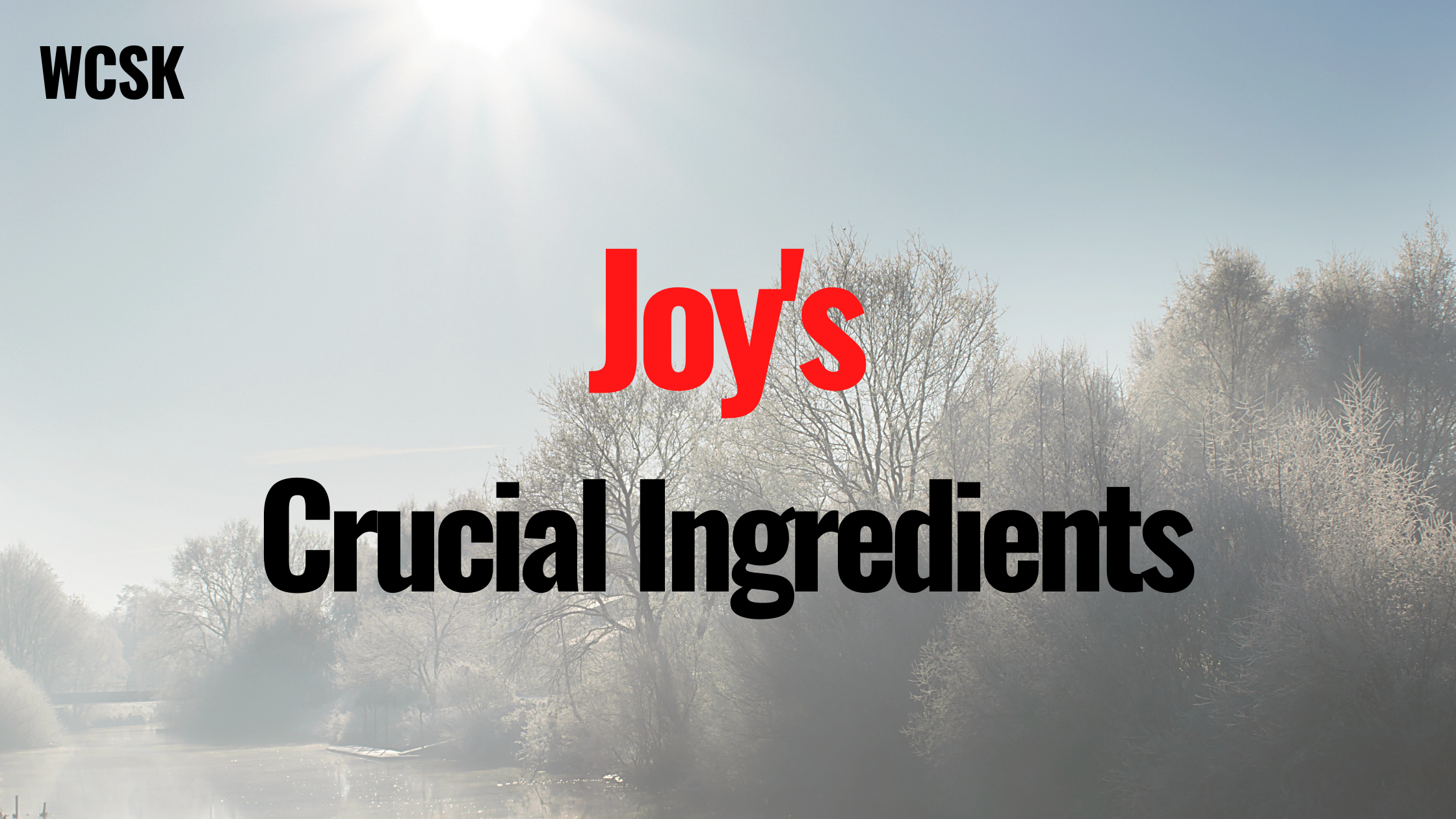 Joy’s Crucial Ingredients